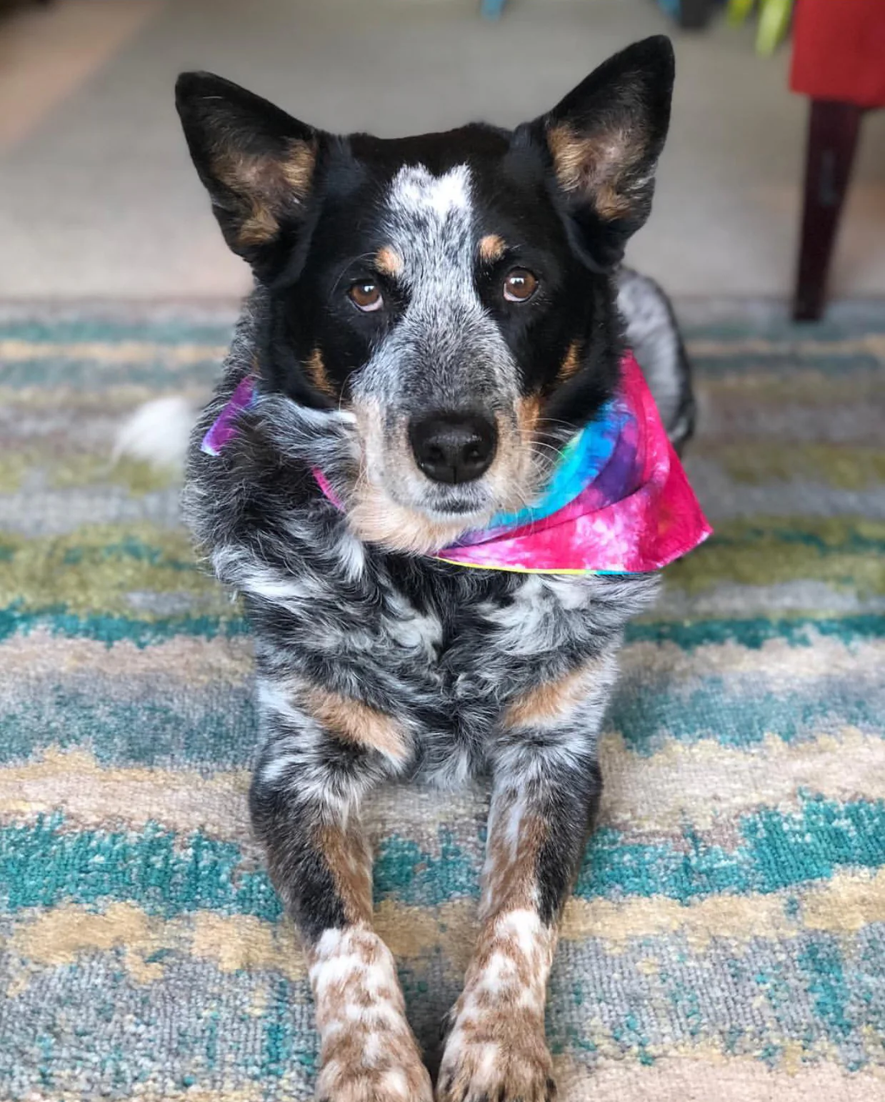 Tie-Dye Bandana - Image 2