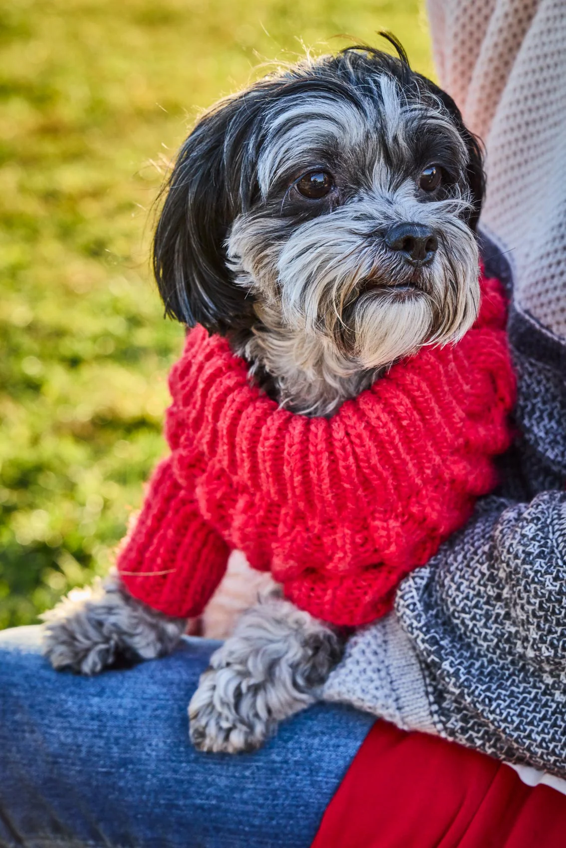 Fisherman Sweater - Image 7