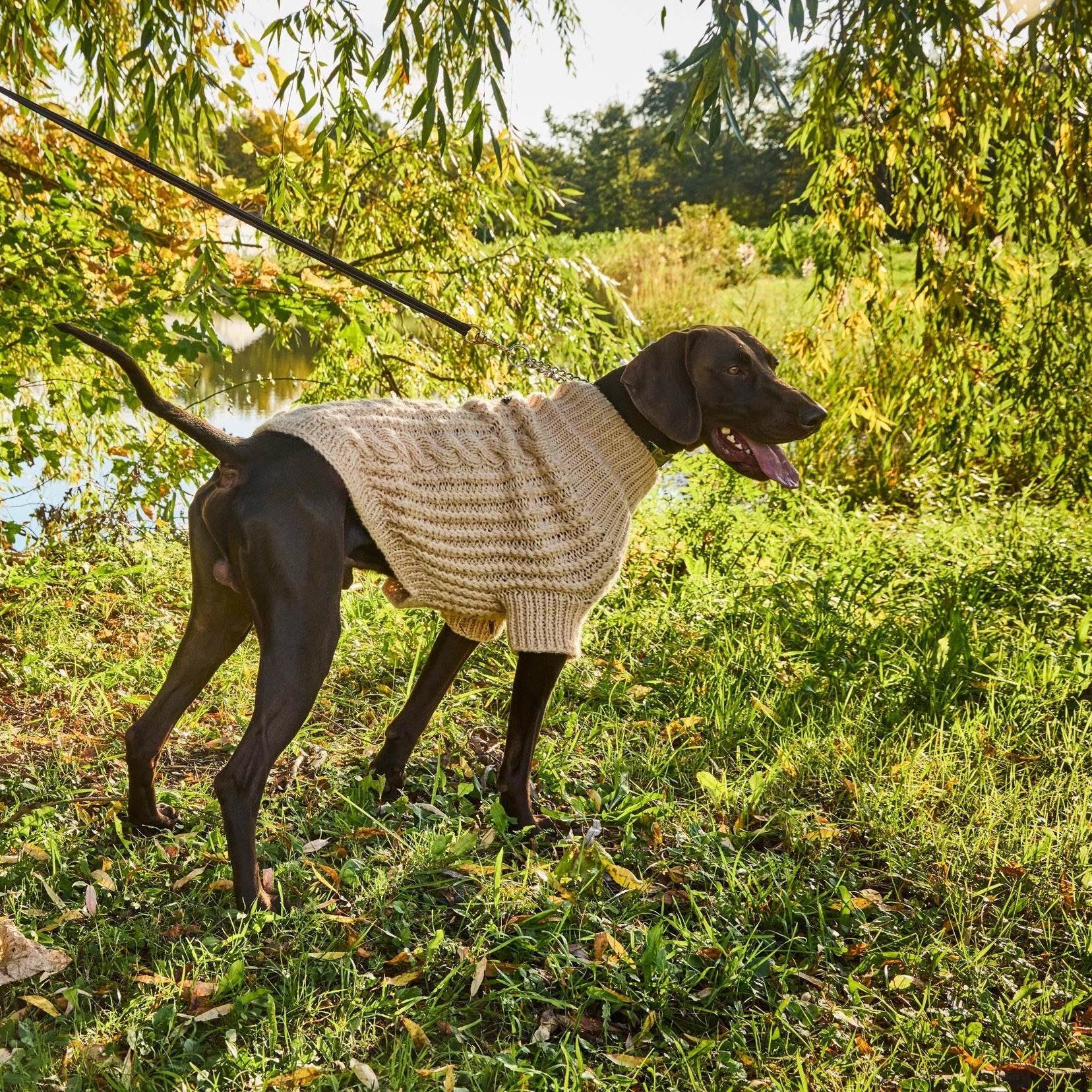 Fisherman Sweater - Image 8
