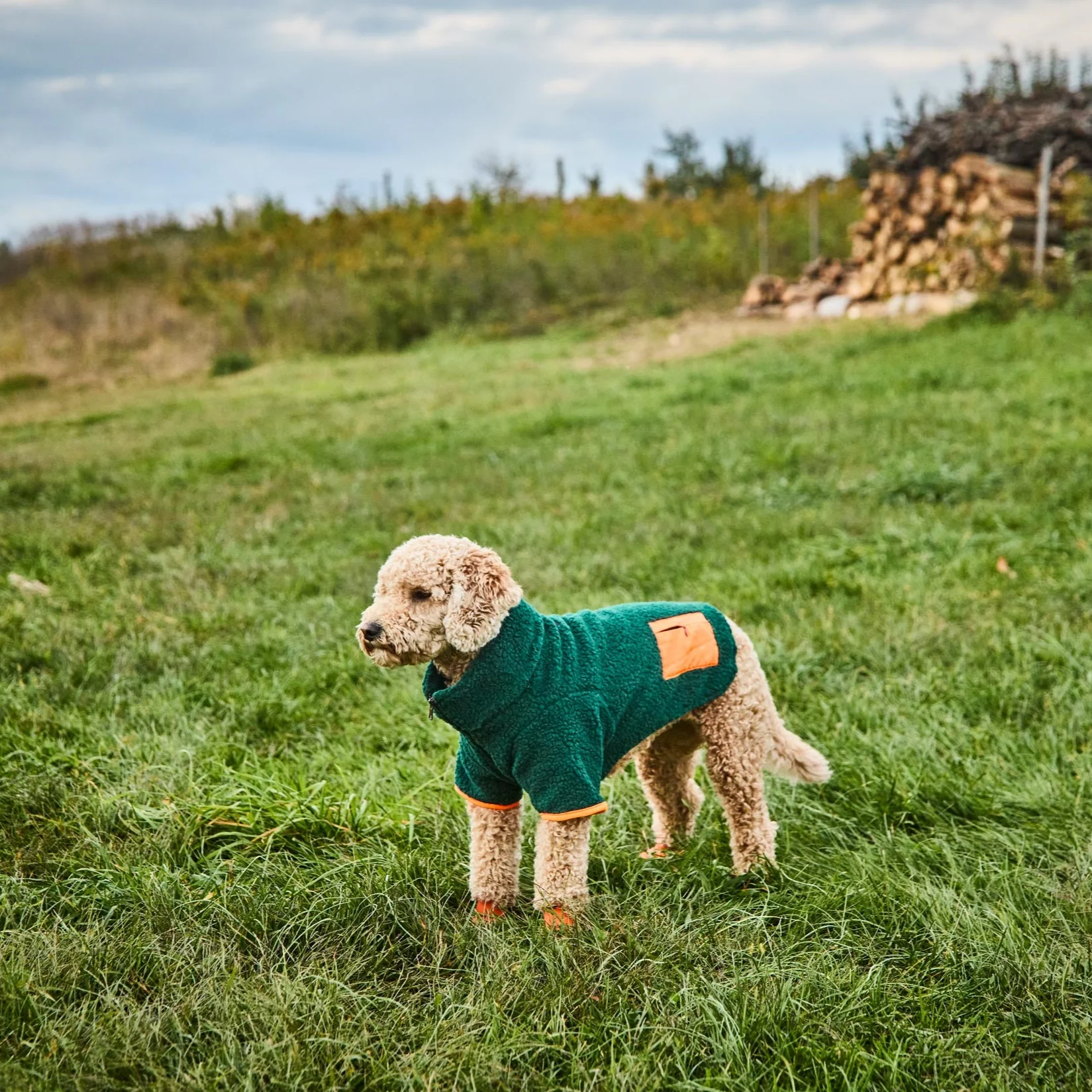Monkey Fleece Jacket - Image 10