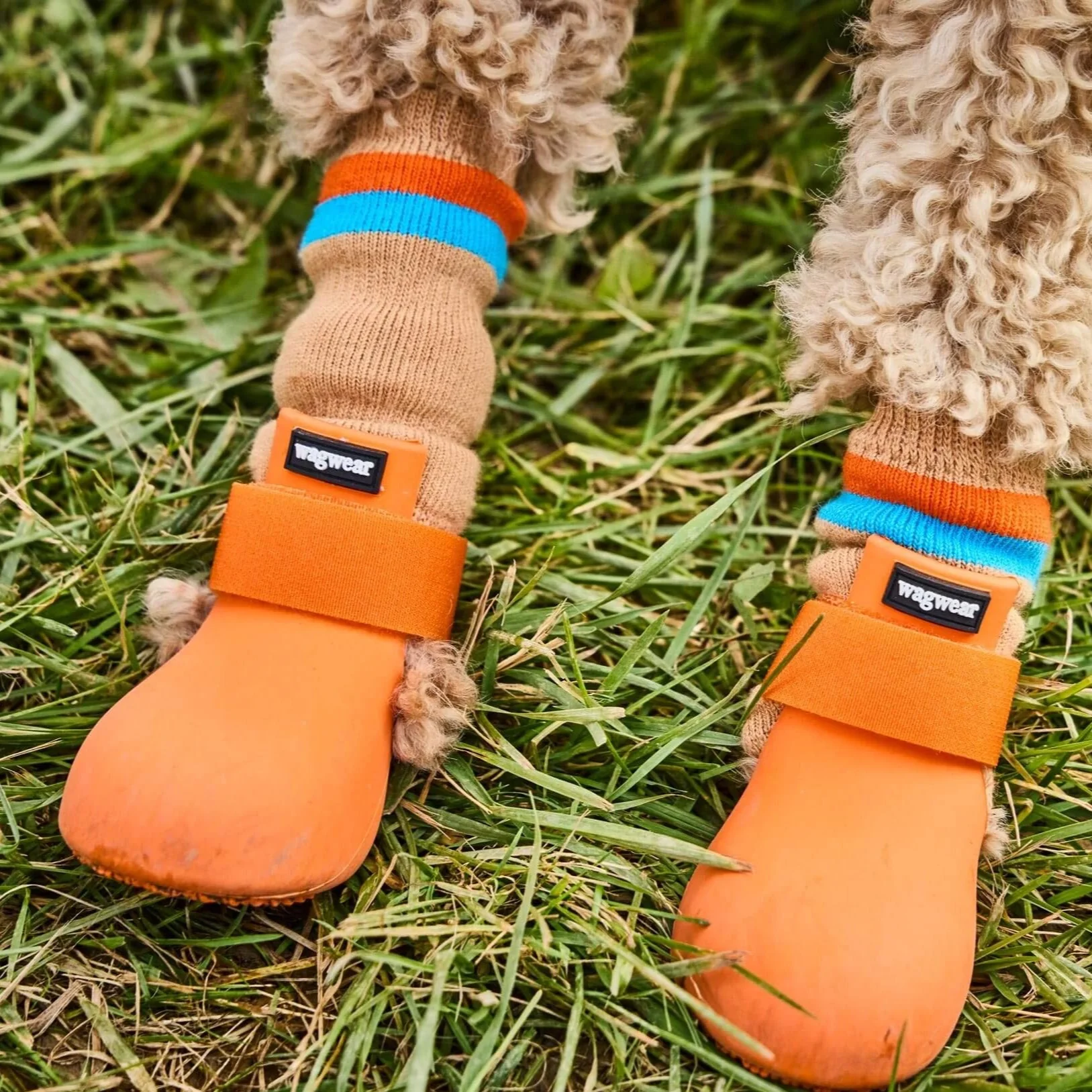WagWellies® by wagwear - Image 15