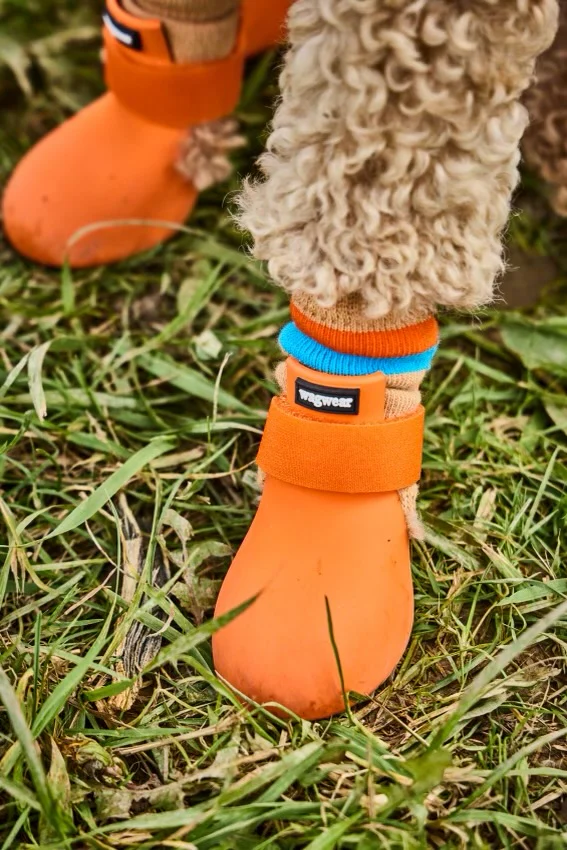 WagWarmers - Image 10